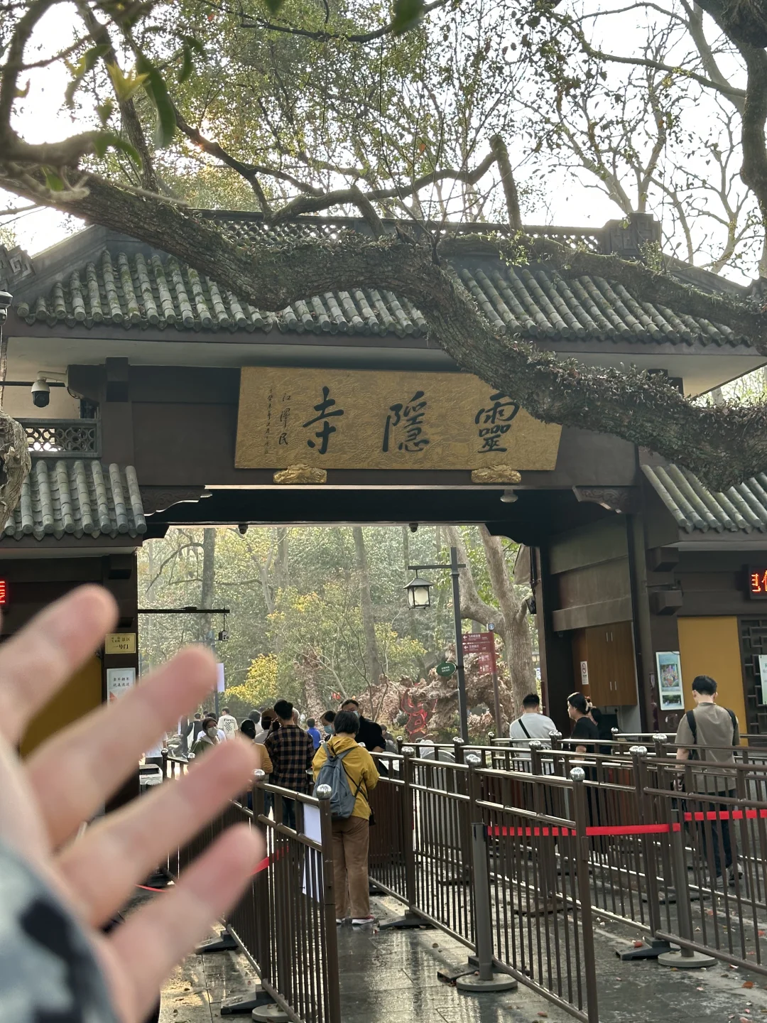 18张海边爆美高清实况免费可拿