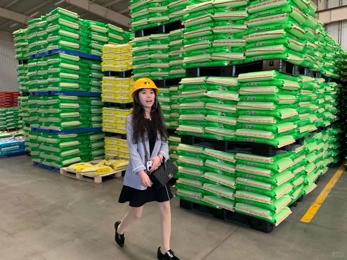 招聘一名助理替我当外企董事长（女生优先）