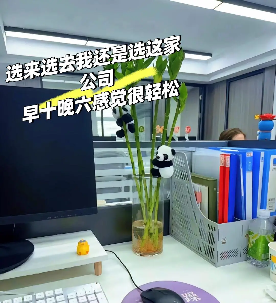 公司招聘文员啦