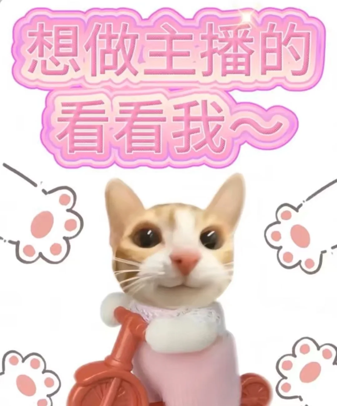 上天啊 给我一个主包吧