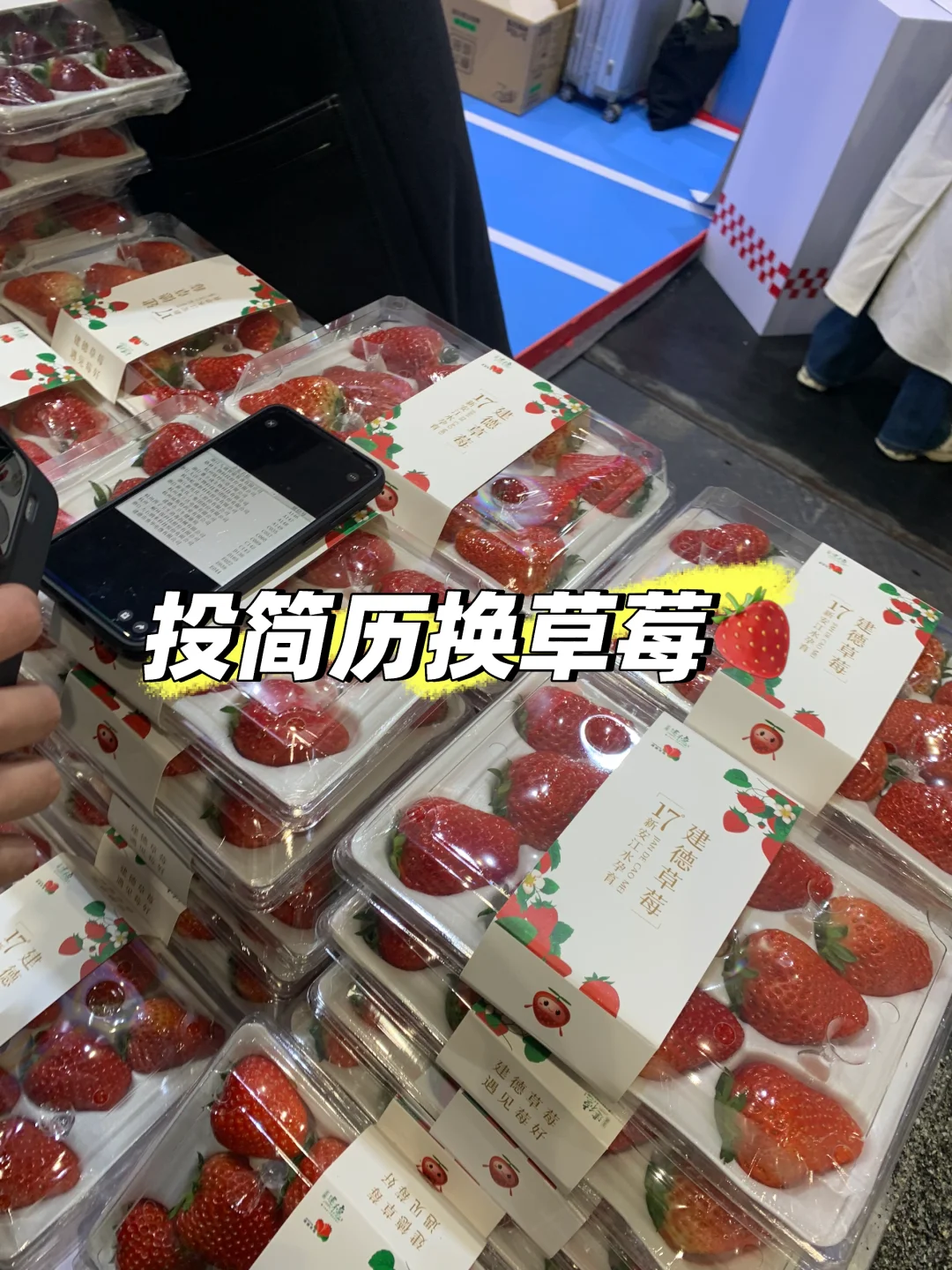 杭州只要高精尖人才，不要文科生😜