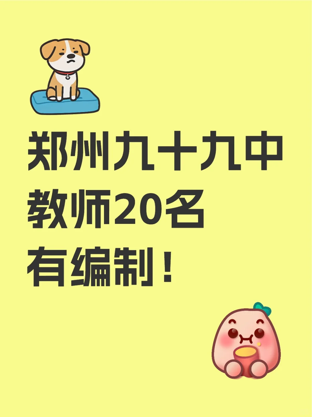 郑州招教来啦，99中 20名老师