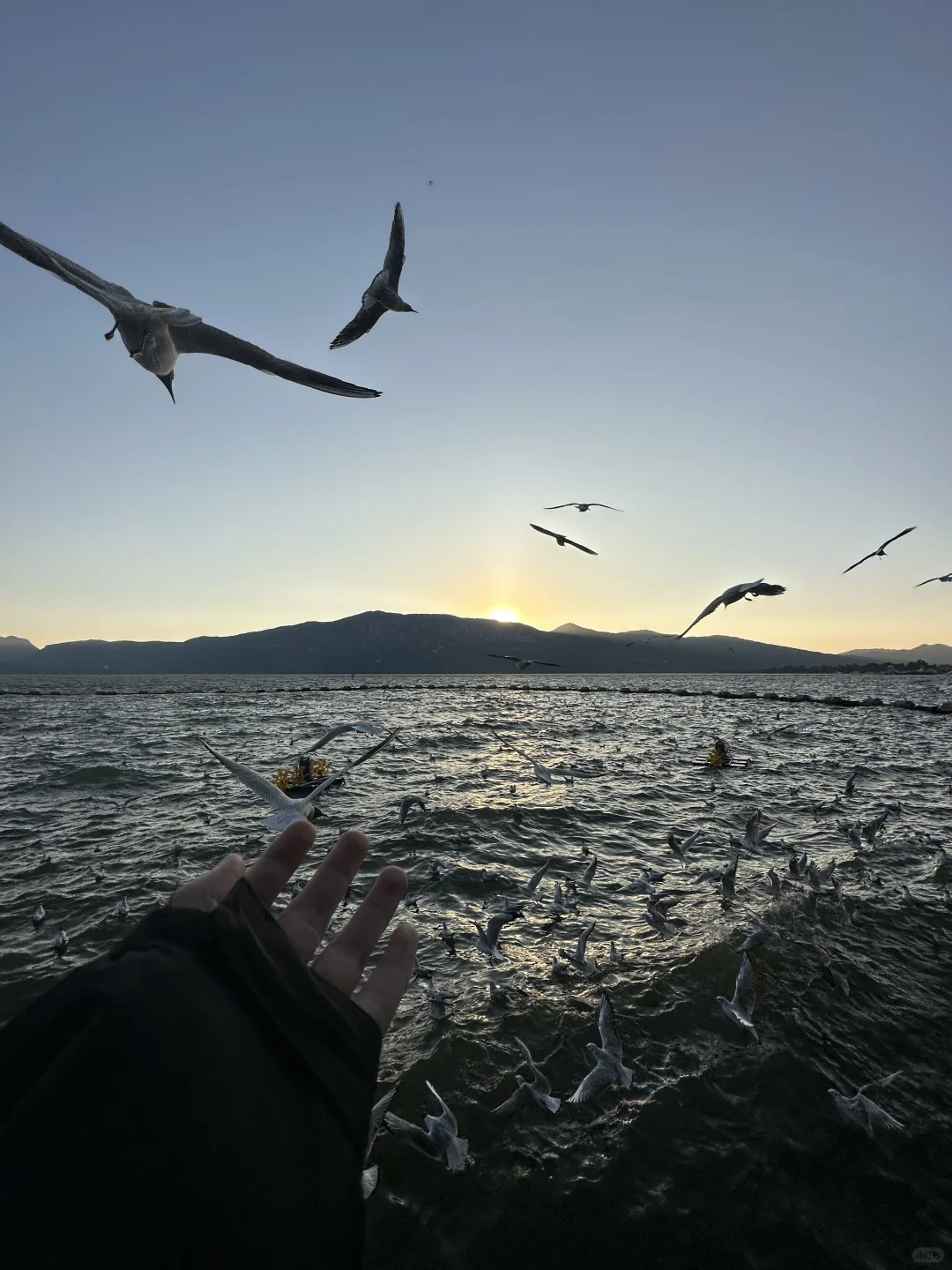 18张海边爆美高清实况免费可拿