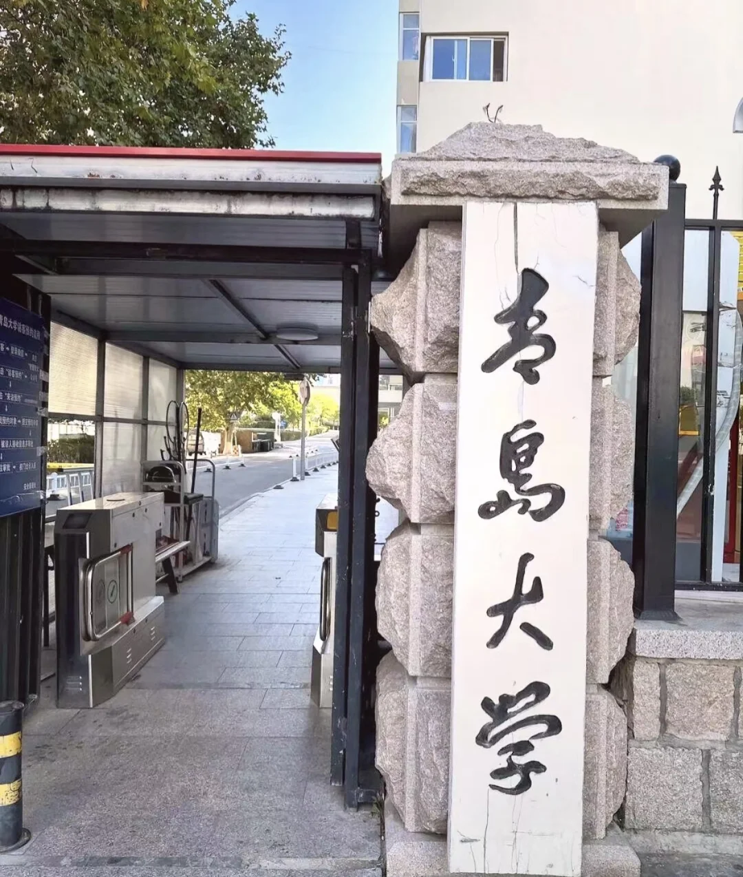 青岛大学招聘👀过来