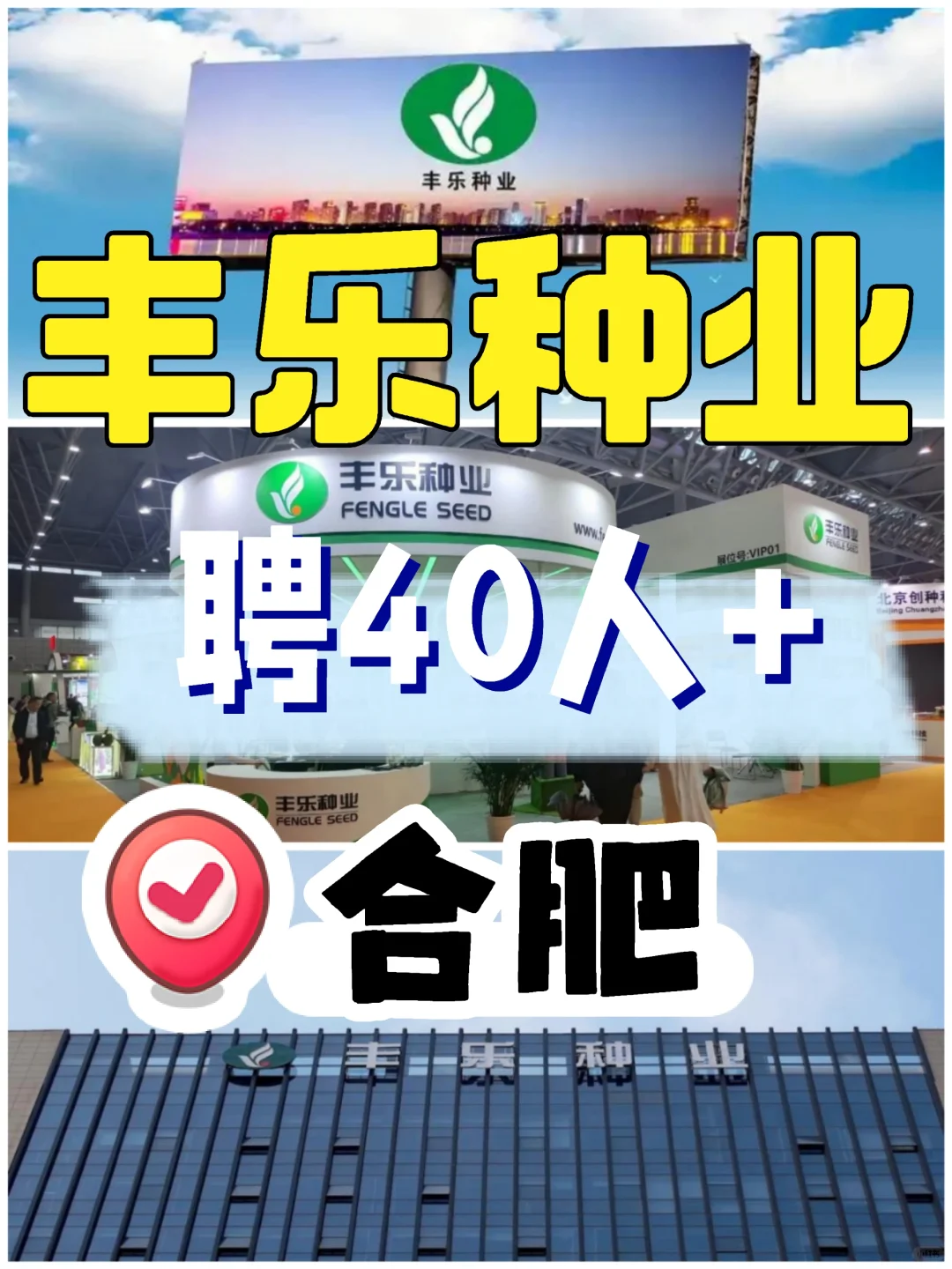 种业巨头✅合肥丰乐种业🌟聘40人+
