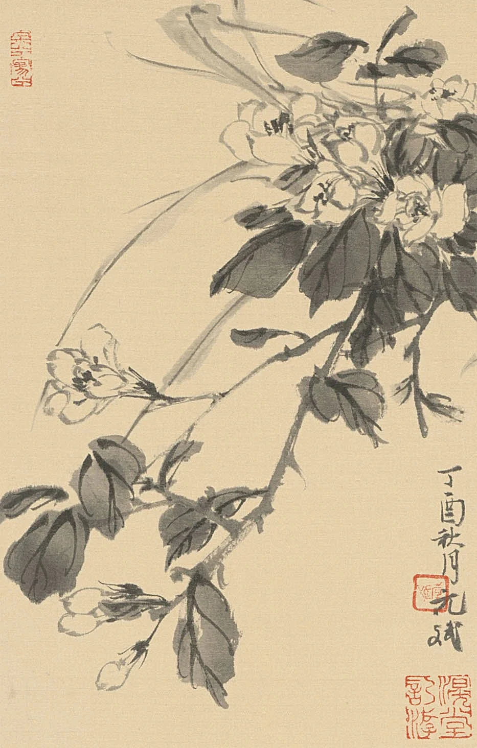 滉堂墨记｜度外四时册