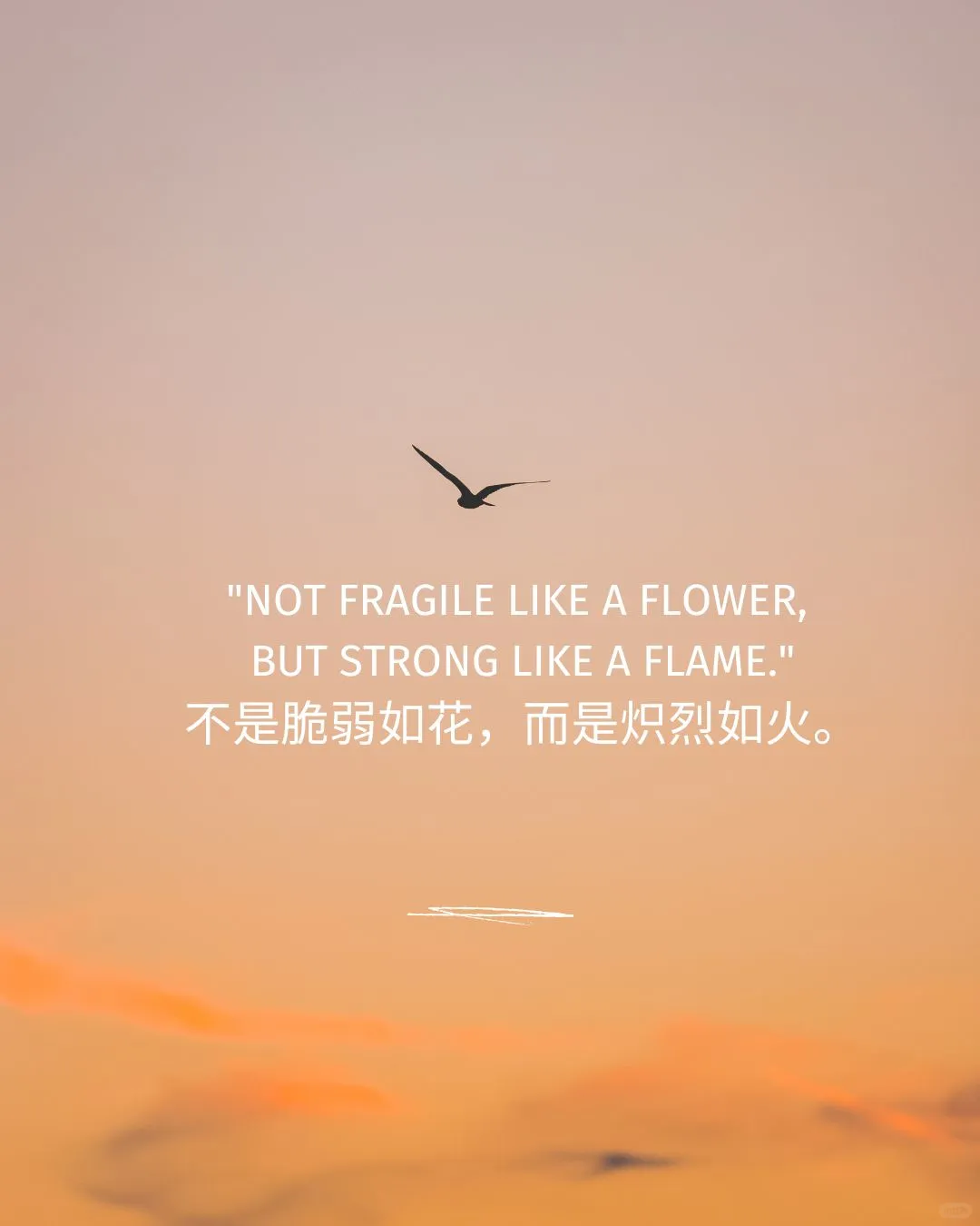 送给每一位女性