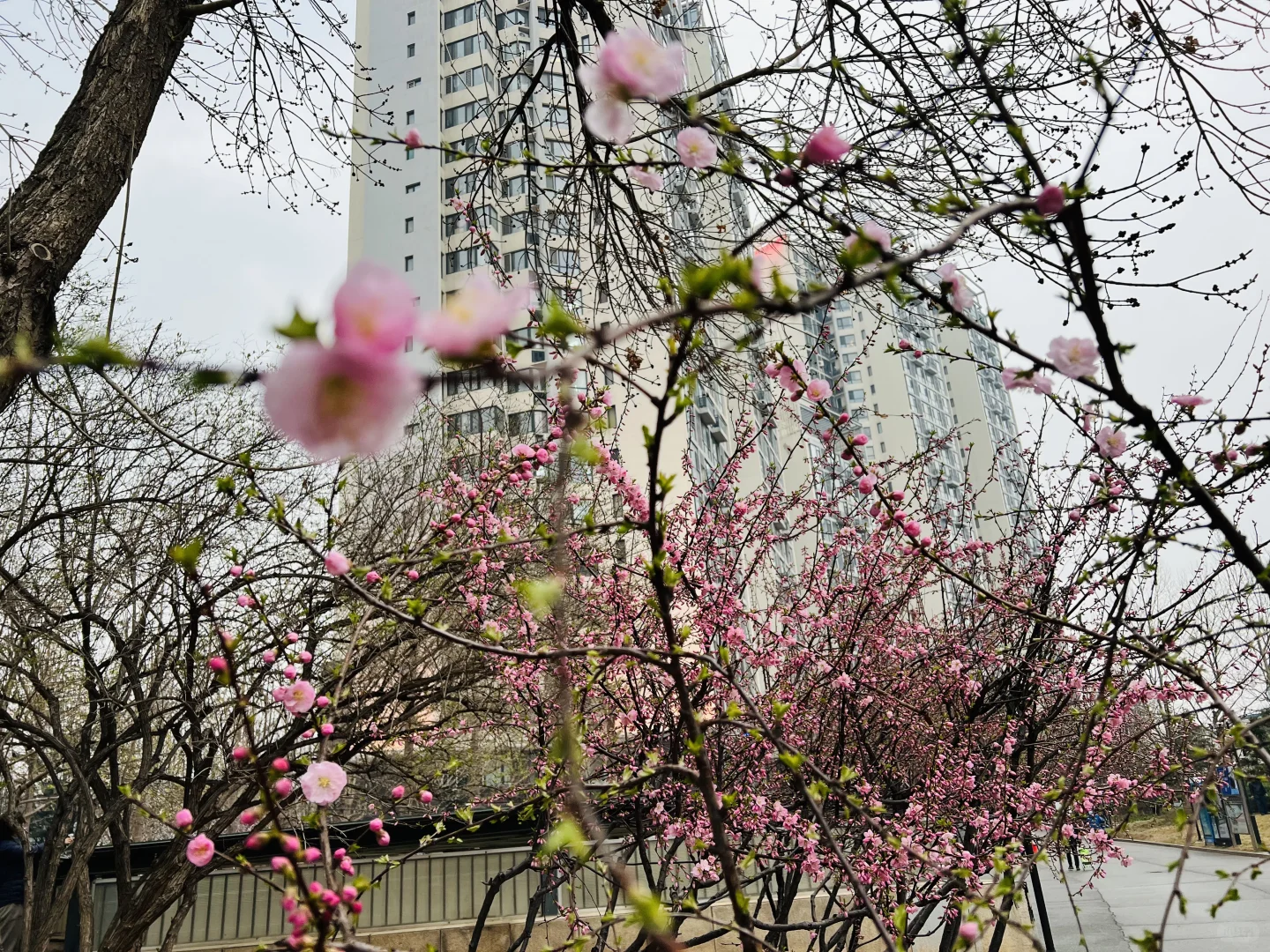 60岁阿姨送给女孩们的1段话：