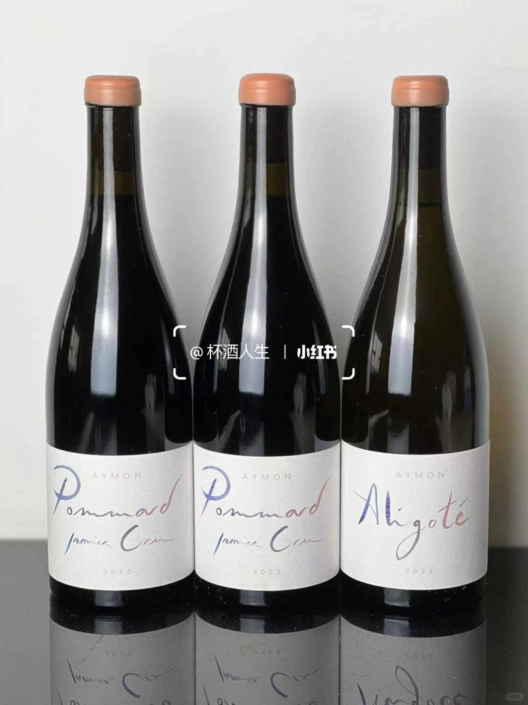 Maison Aymon 酒商新星🌟热爱的力量