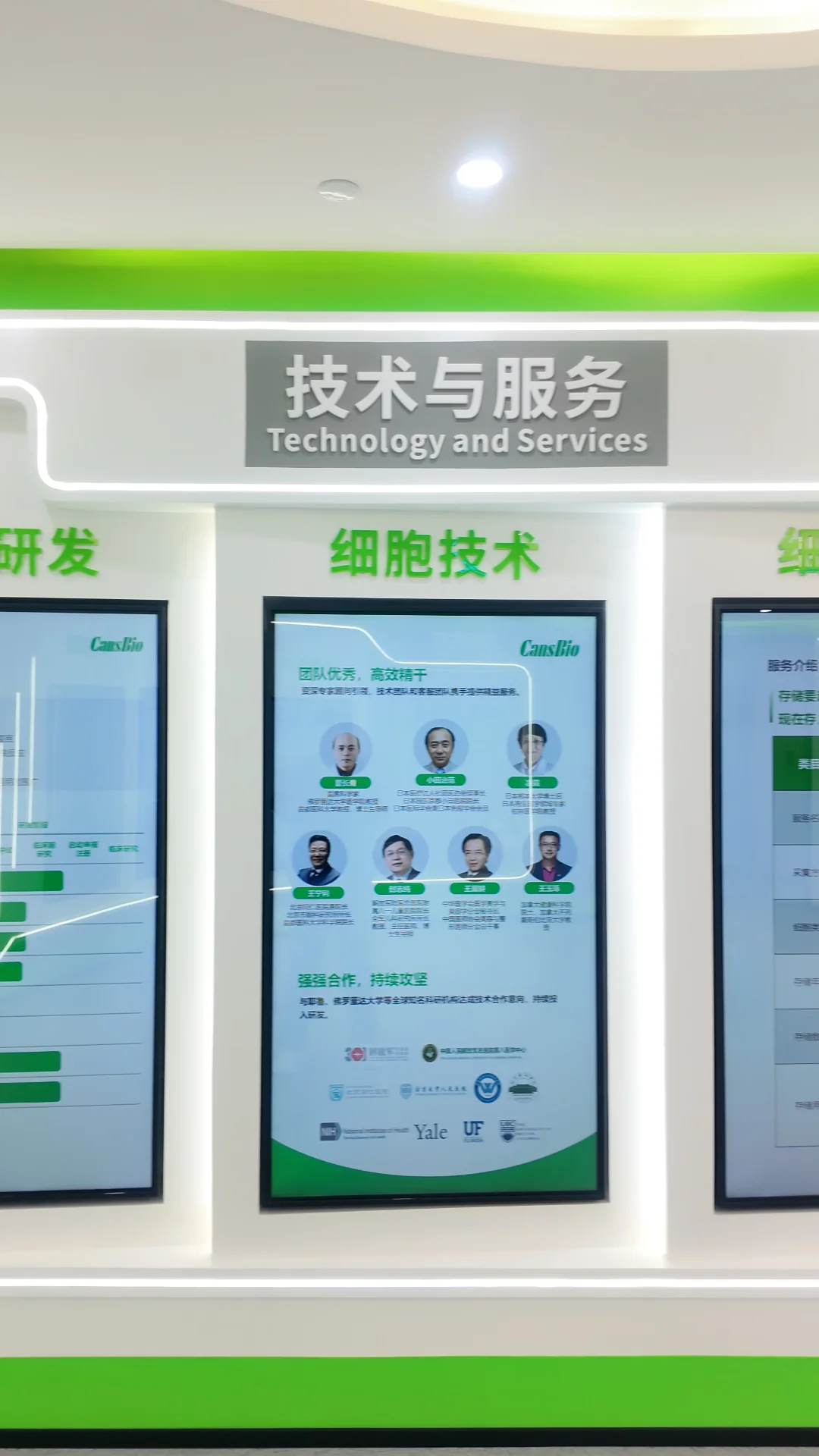 统一回复一下公司招聘的消息