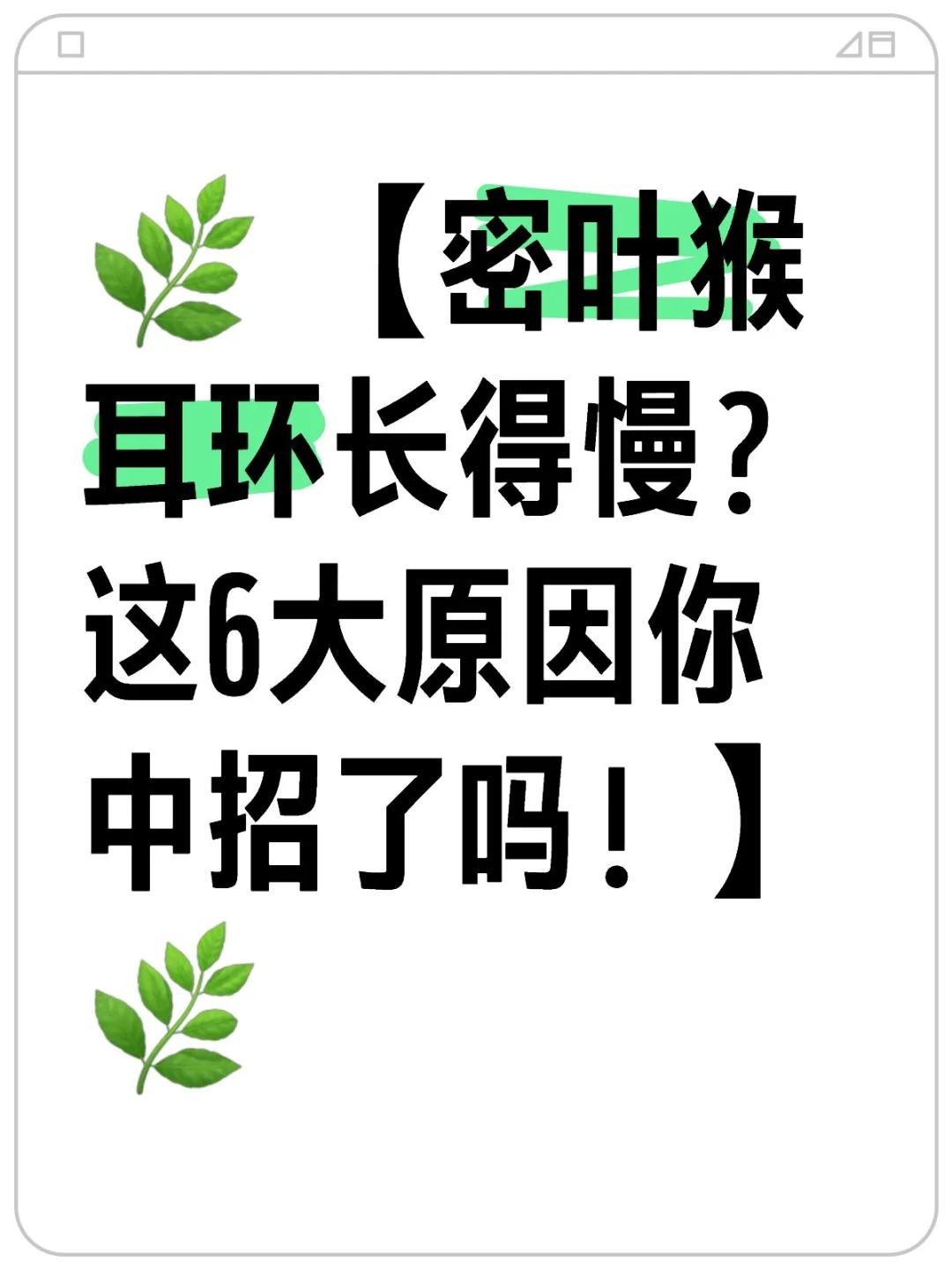 🌿【密叶猴耳环长得慢？这6大原因你中招了吗