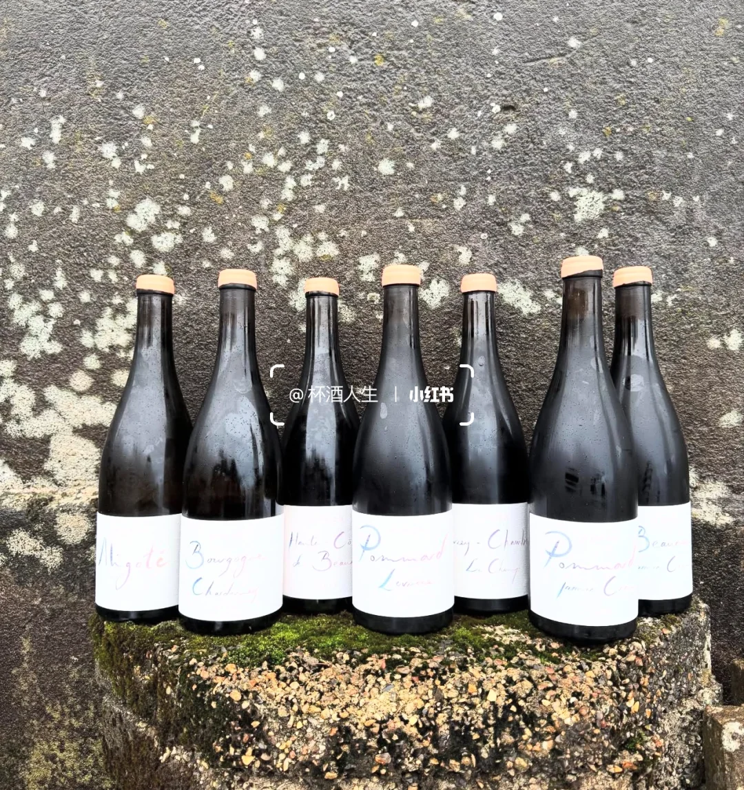 Maison Aymon 酒商新星🌟热爱的力量