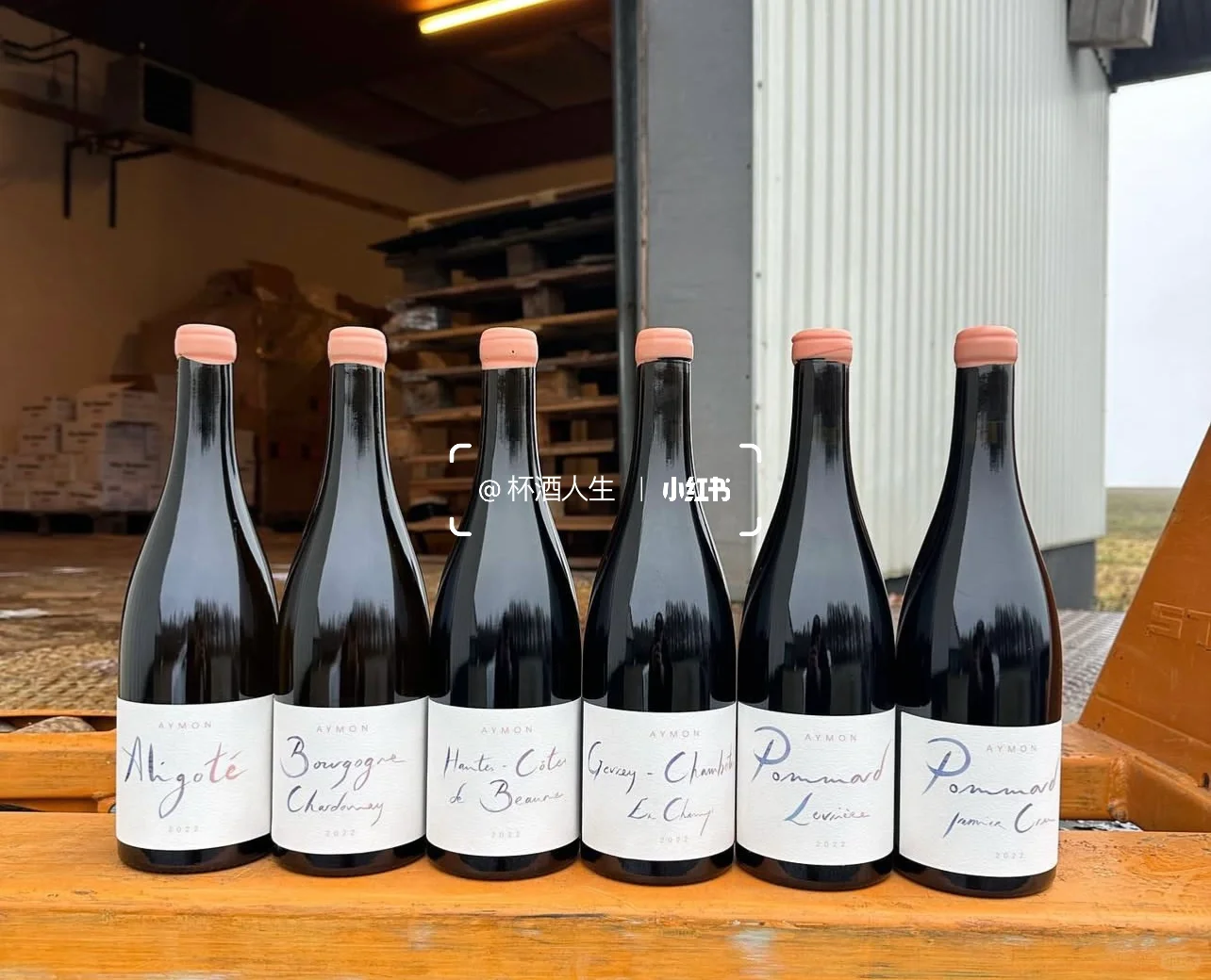 Maison Aymon 酒商新星🌟热爱的力量