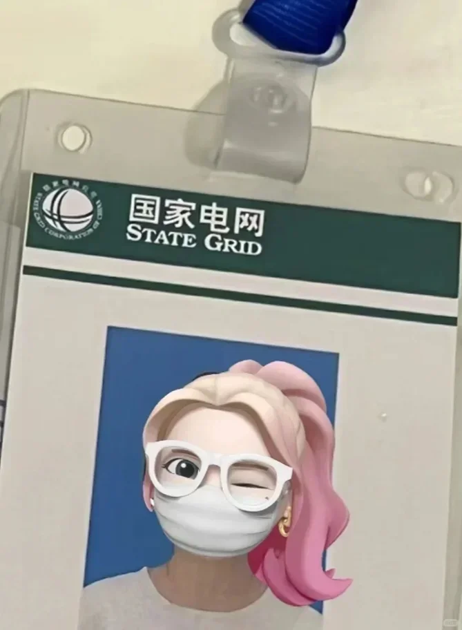 进了电网这辈子有了