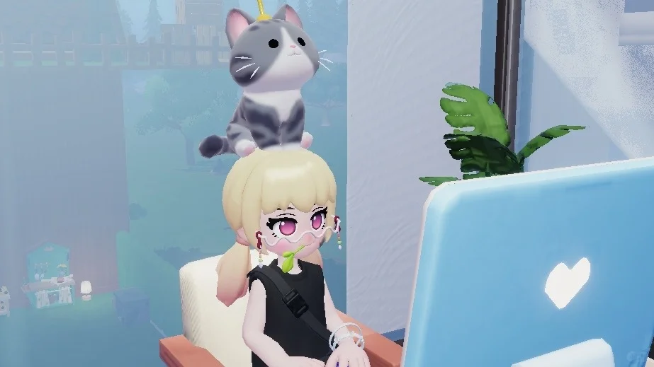 公司建好了招人（私聊）