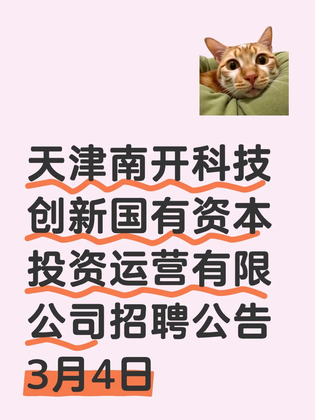 天津南开科技创新国有资本投资运营公司招聘