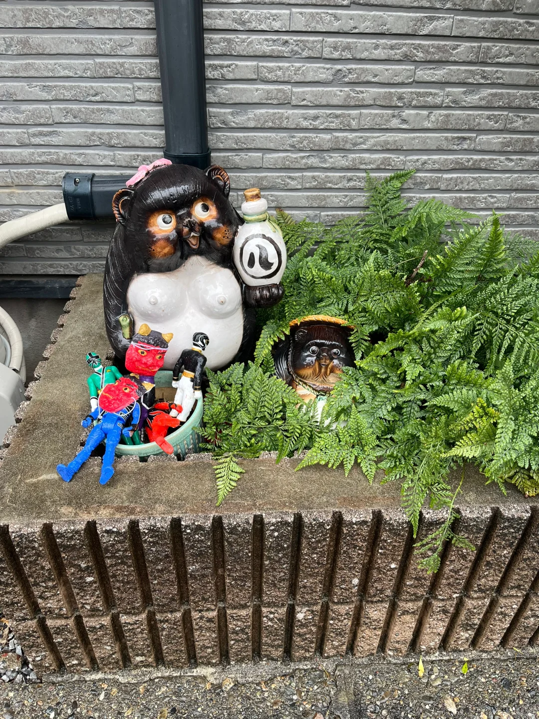 当代人类情感乞讨实录