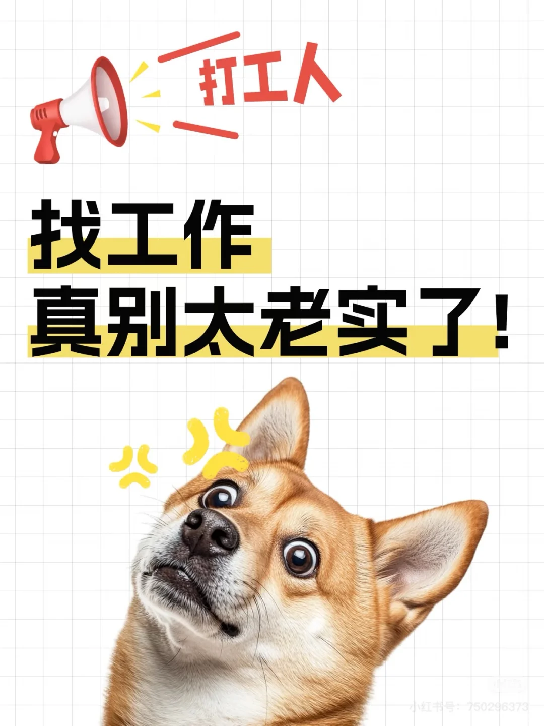 明人不说暗话，我缺主播你缺钱，这是一条正经