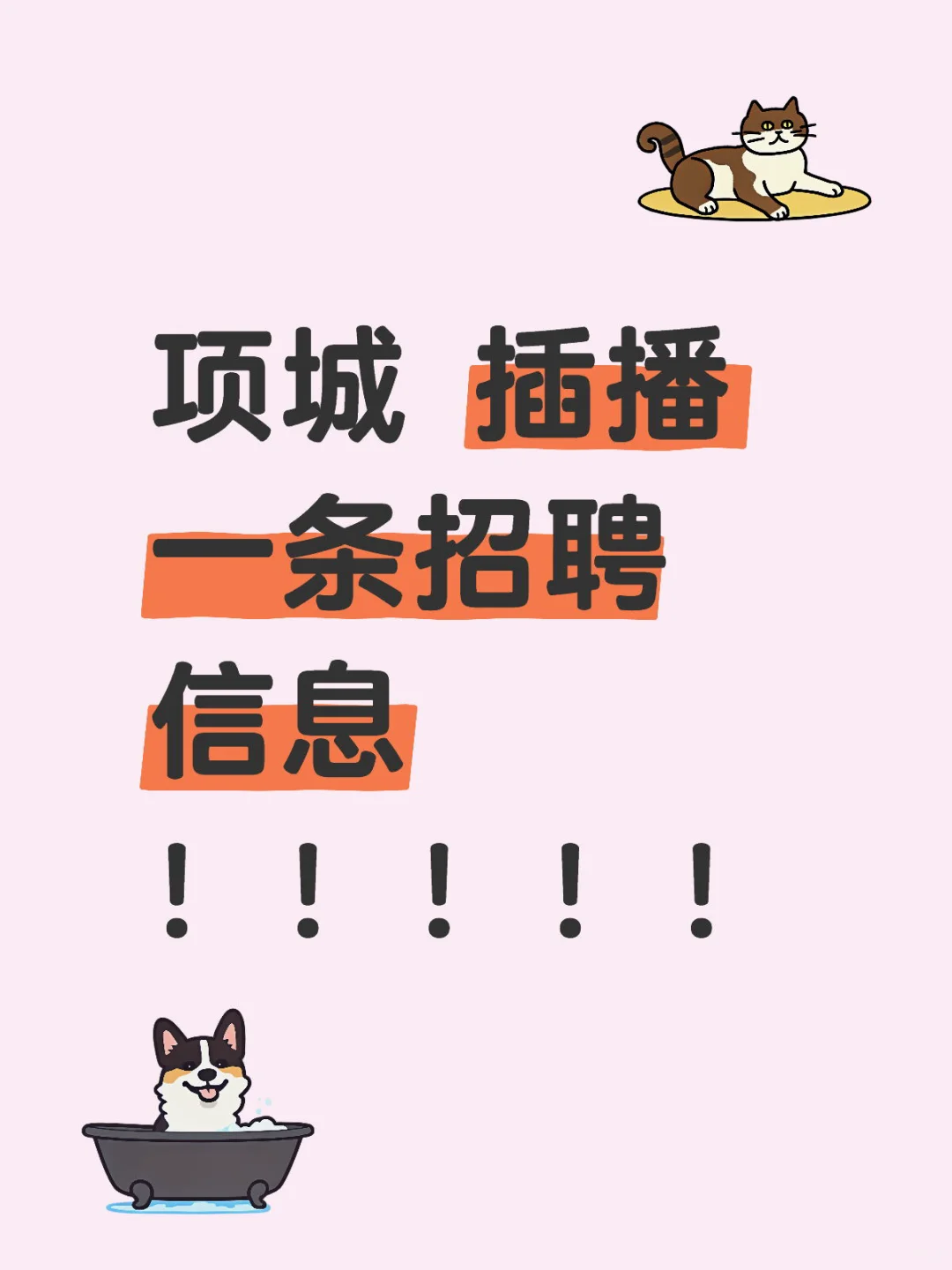 项城插播一条招聘信息