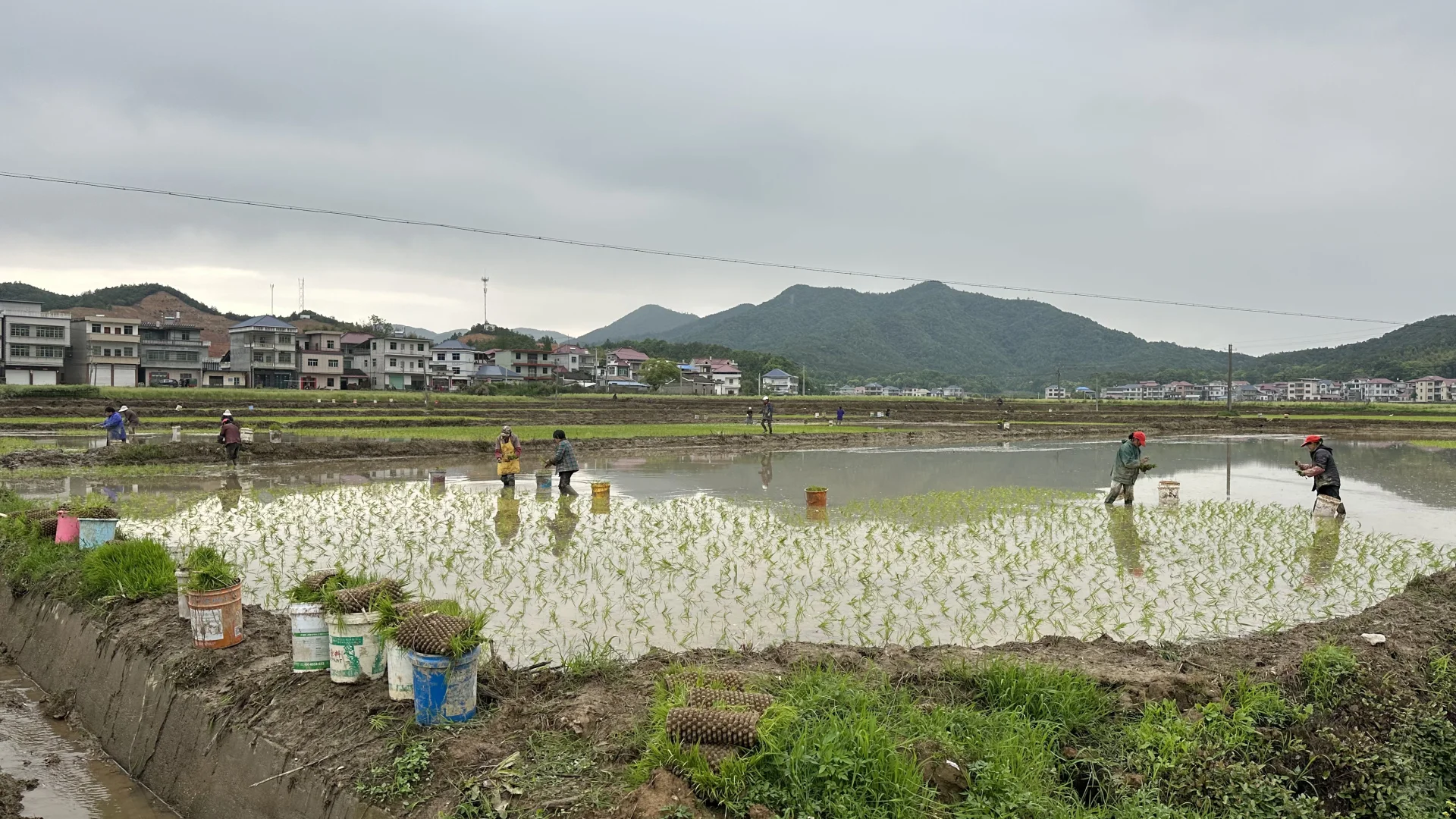 招人！招人！农村闲云野鹤生活（包吃包住）