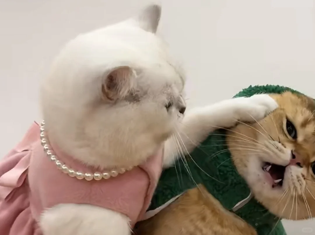 杭州区属国企高薪招聘-要求很高符合可考虑