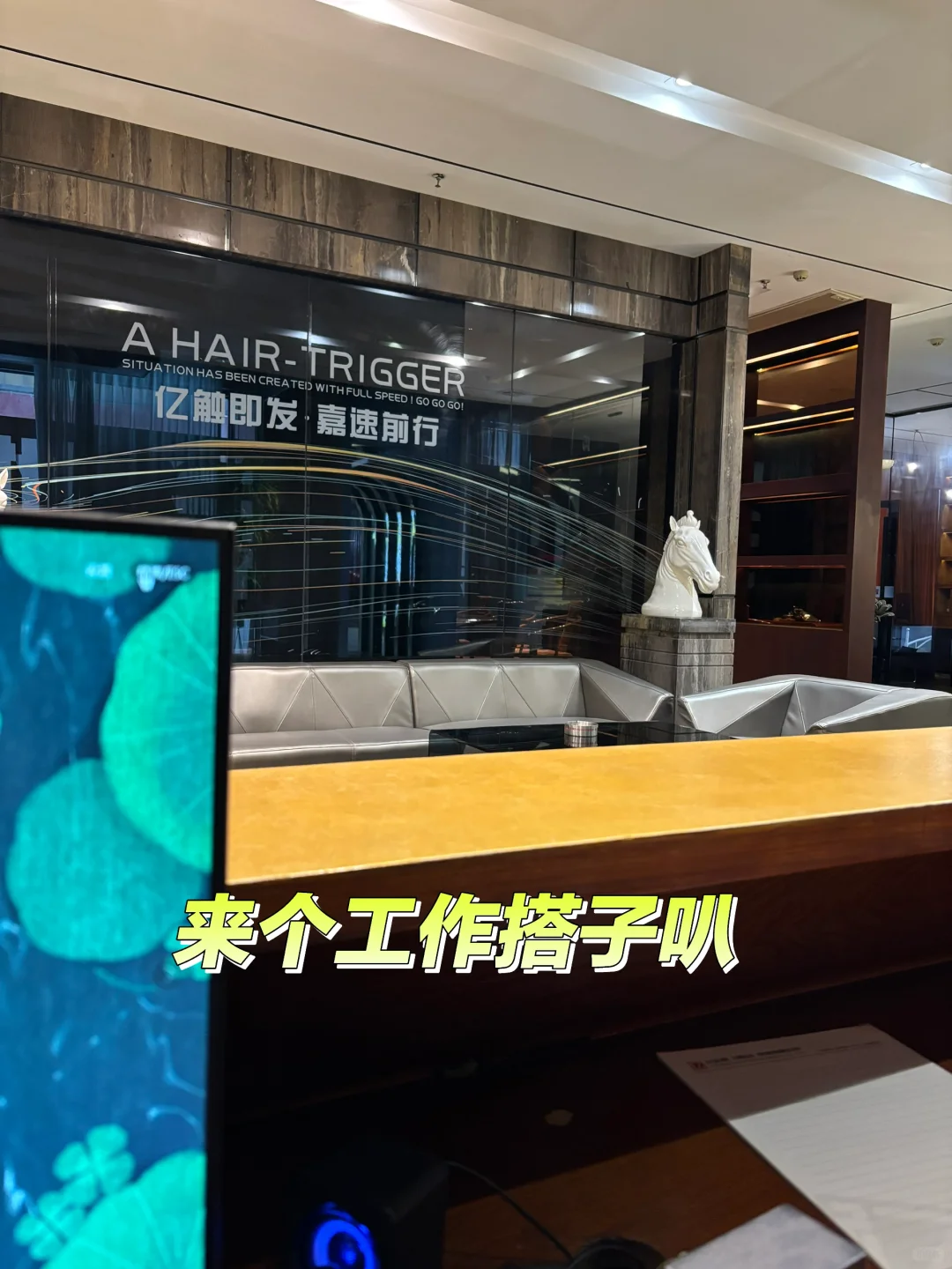 找工作！佛山初创分公司招人啦！！