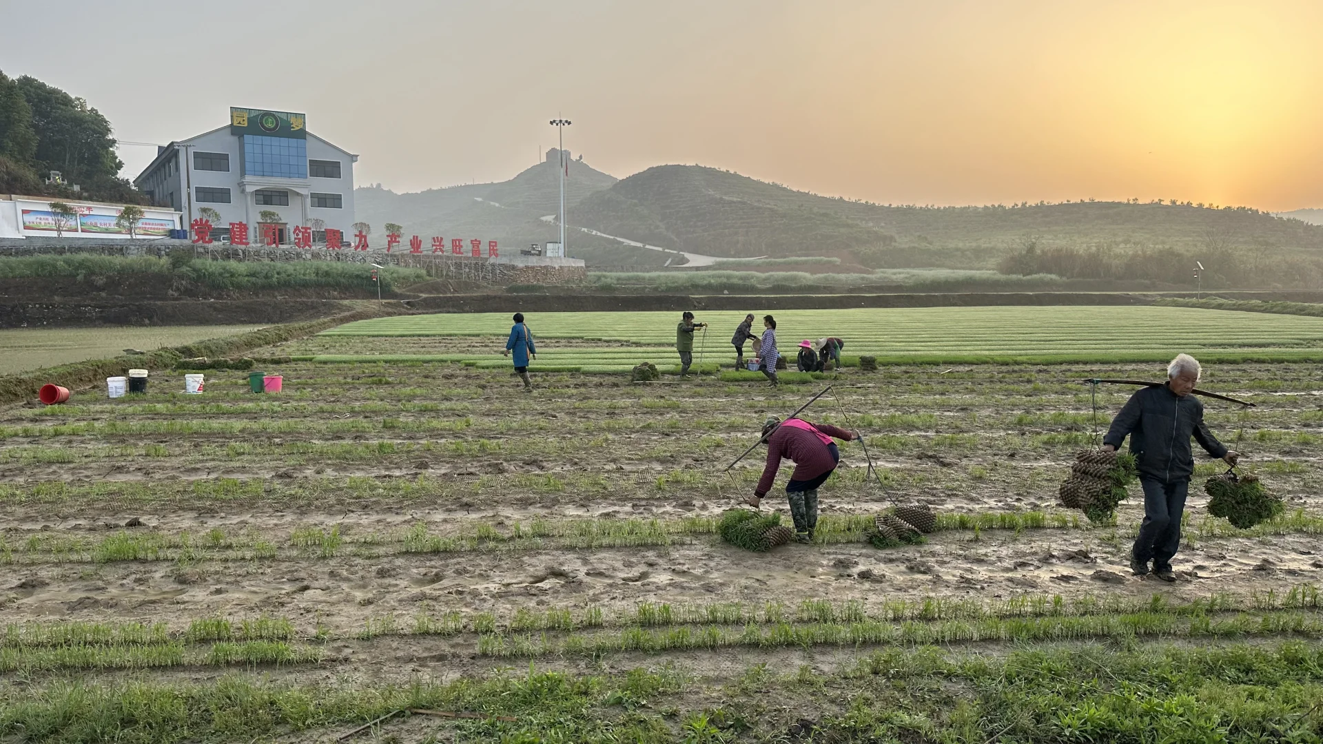 招人！招人！农村闲云野鹤生活（包吃包住）