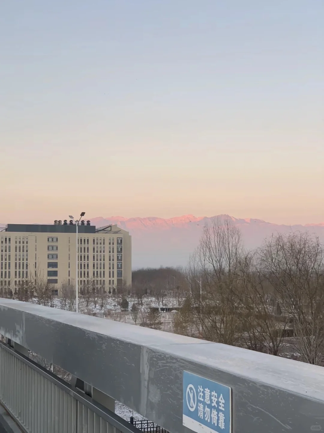 硕士毕业进高校当辅导员（限宁夏地区）