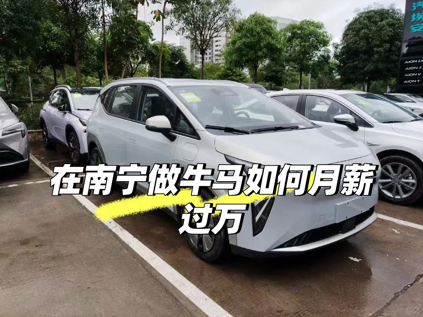 在南宁做牛马月薪过万（招聘）