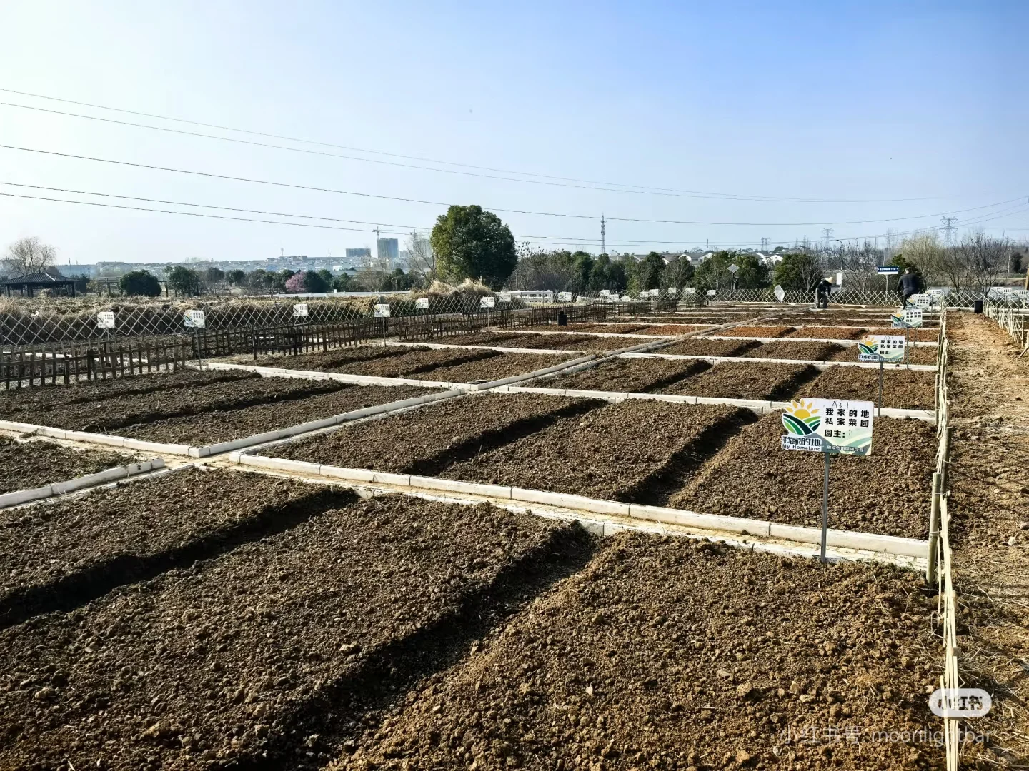 招聘农艺师（长工），寻找真心喜欢种菜的人