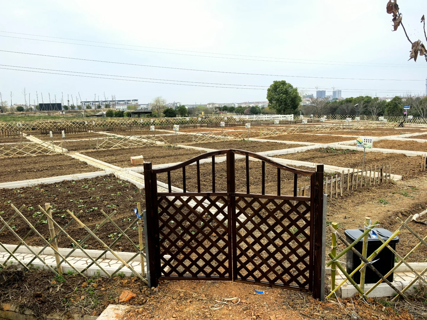 招聘农艺师（长工），寻找真心喜欢种菜的人