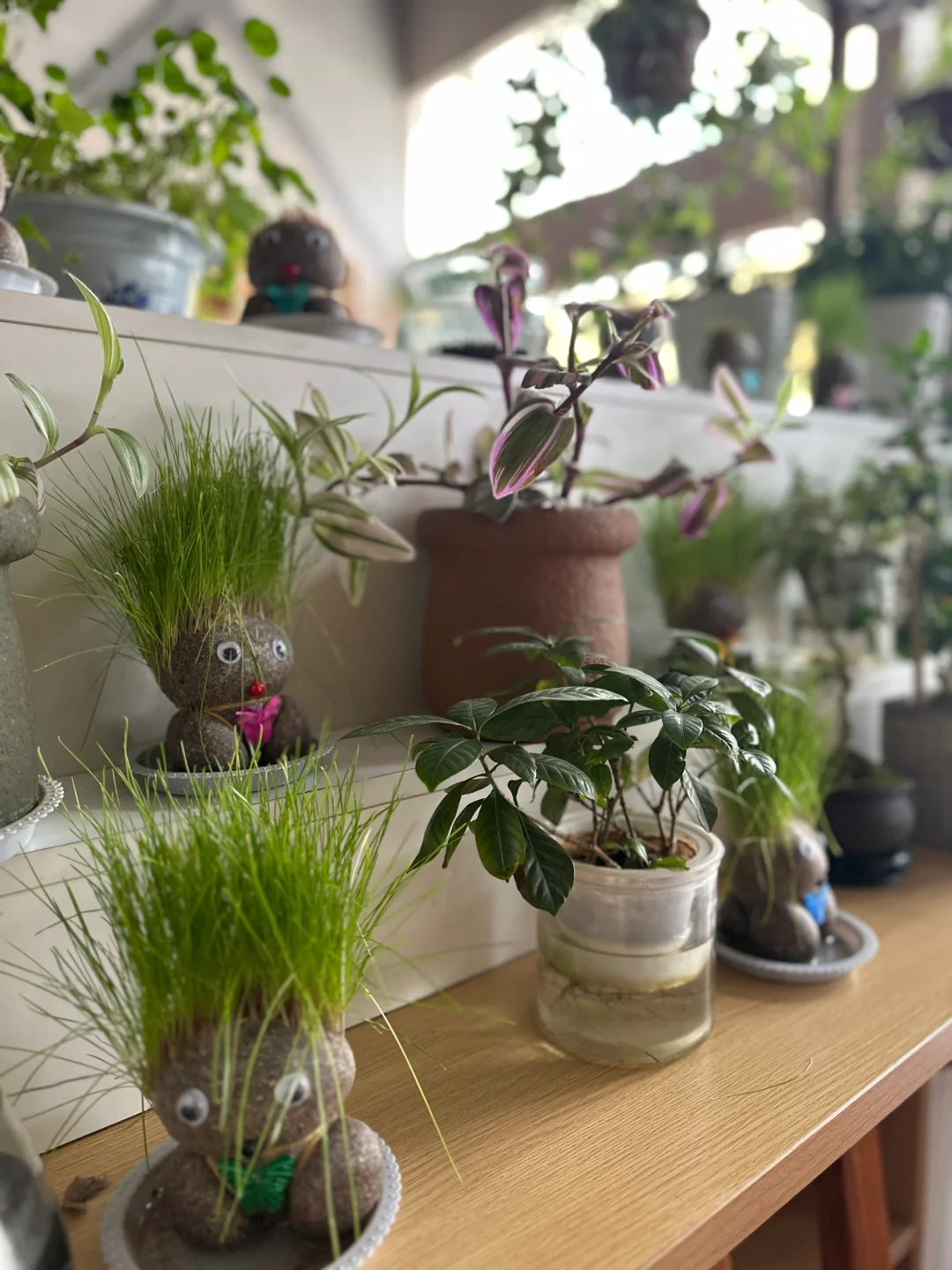 山也听风招聘吧台学徒！