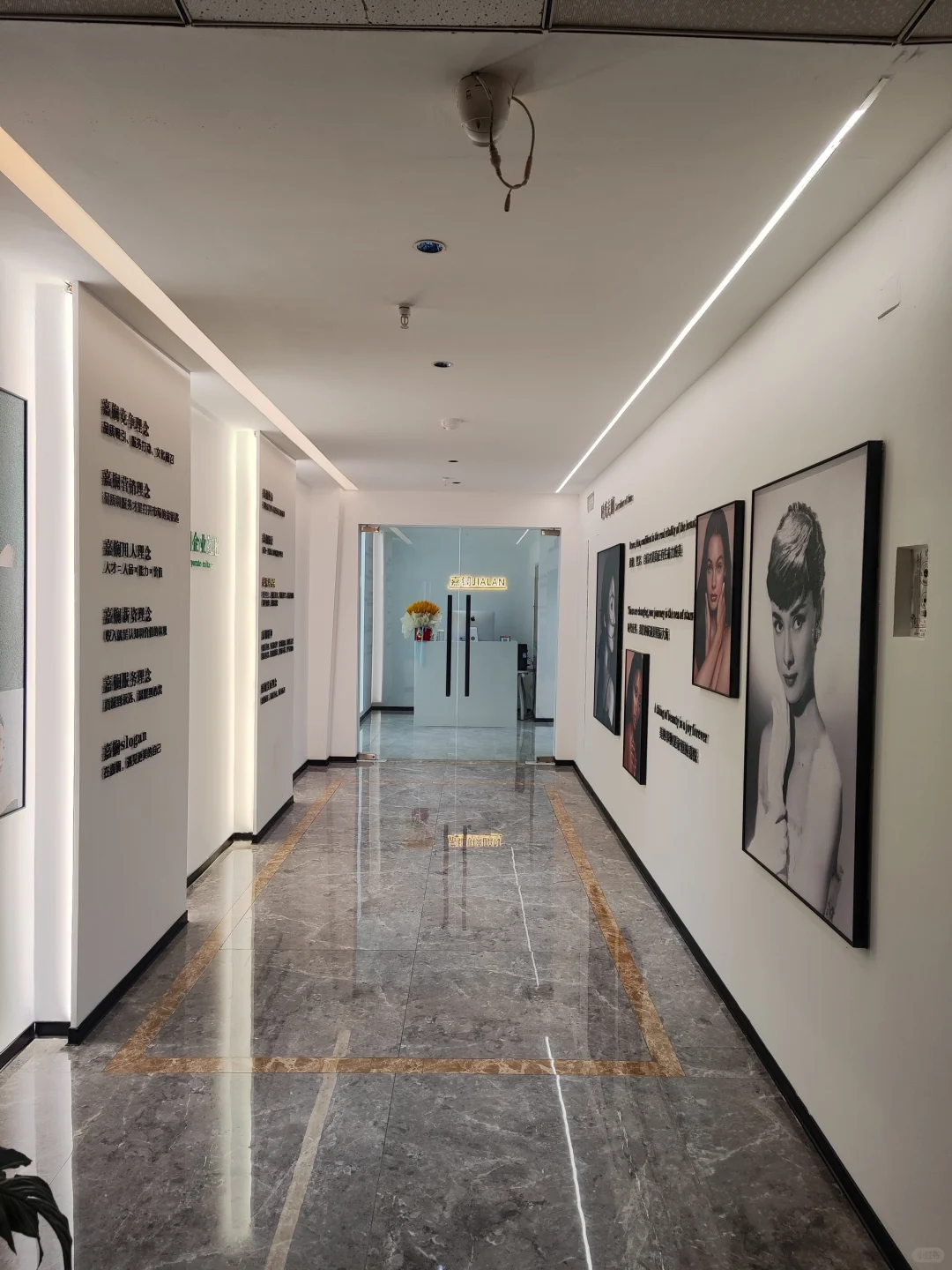 招聘～这种设计的办公室太爱了！