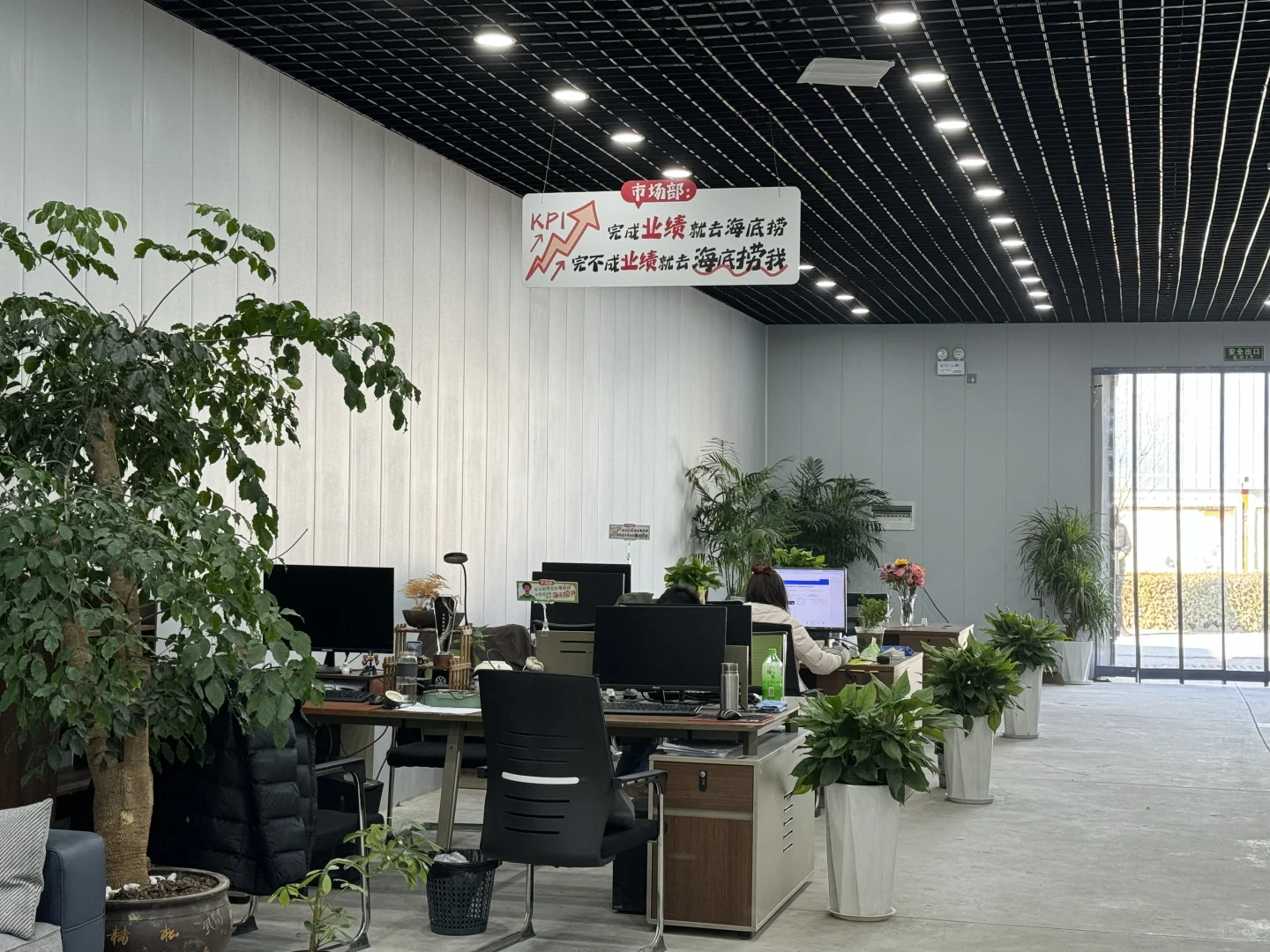 濮阳的家人们，有要年前找工作的嘛