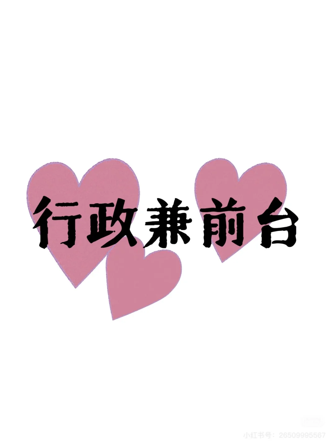 招一个人事行政主管