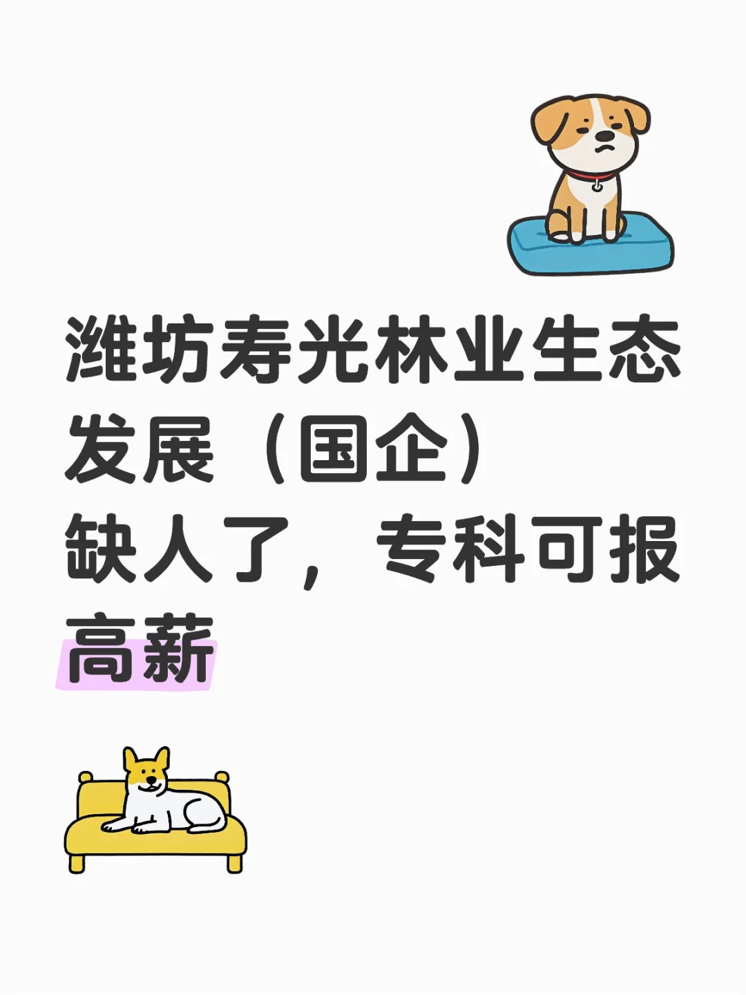 潍坊国企缺办公室文员7人！专科可报！