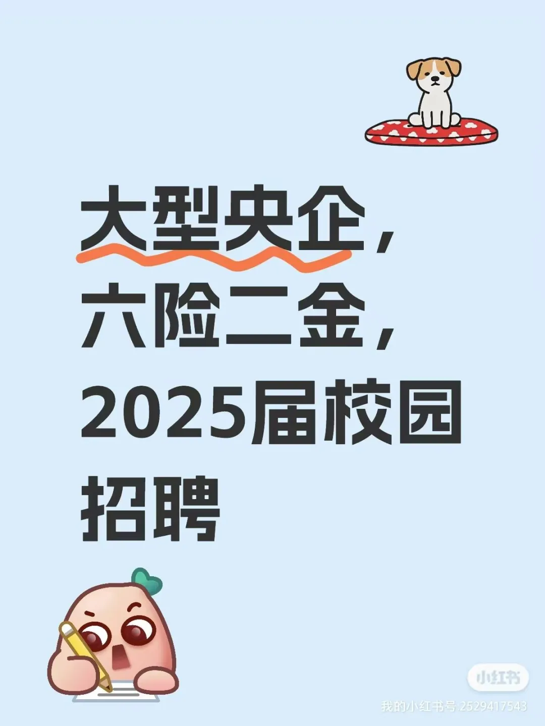 大型央企,六险二金,2025届校园招聘启事