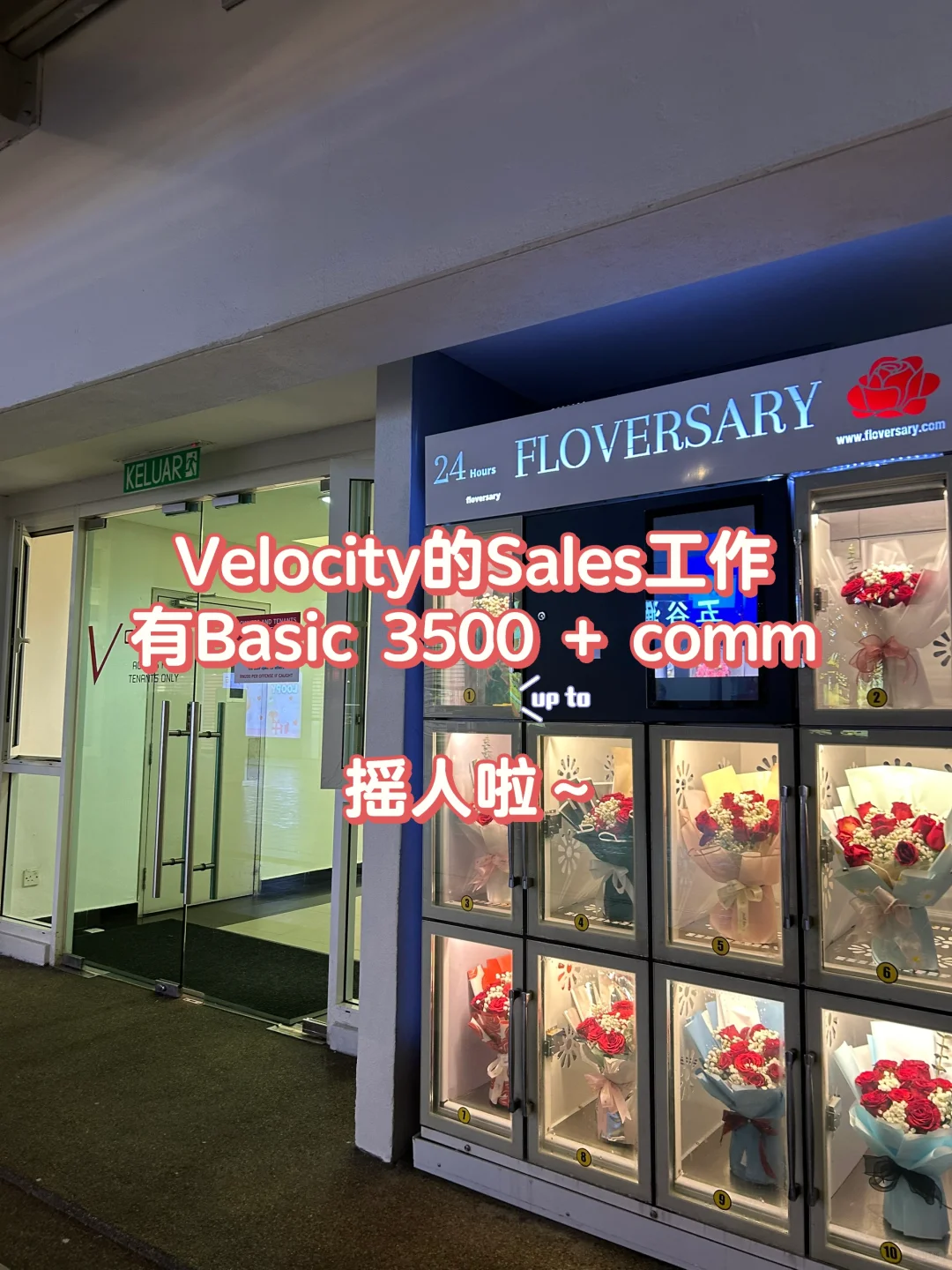 周末假期的Sales ⭐️