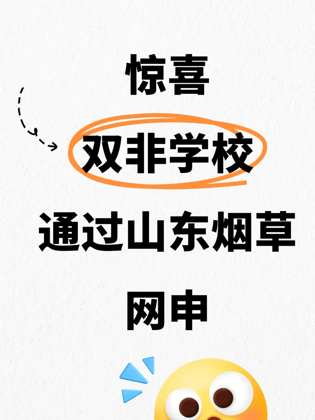 逆袭，双非学校通过山东中烟网申