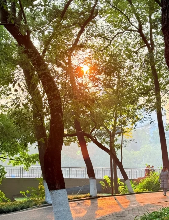 高校招聘很水的，特别是硕士没必要焦虑