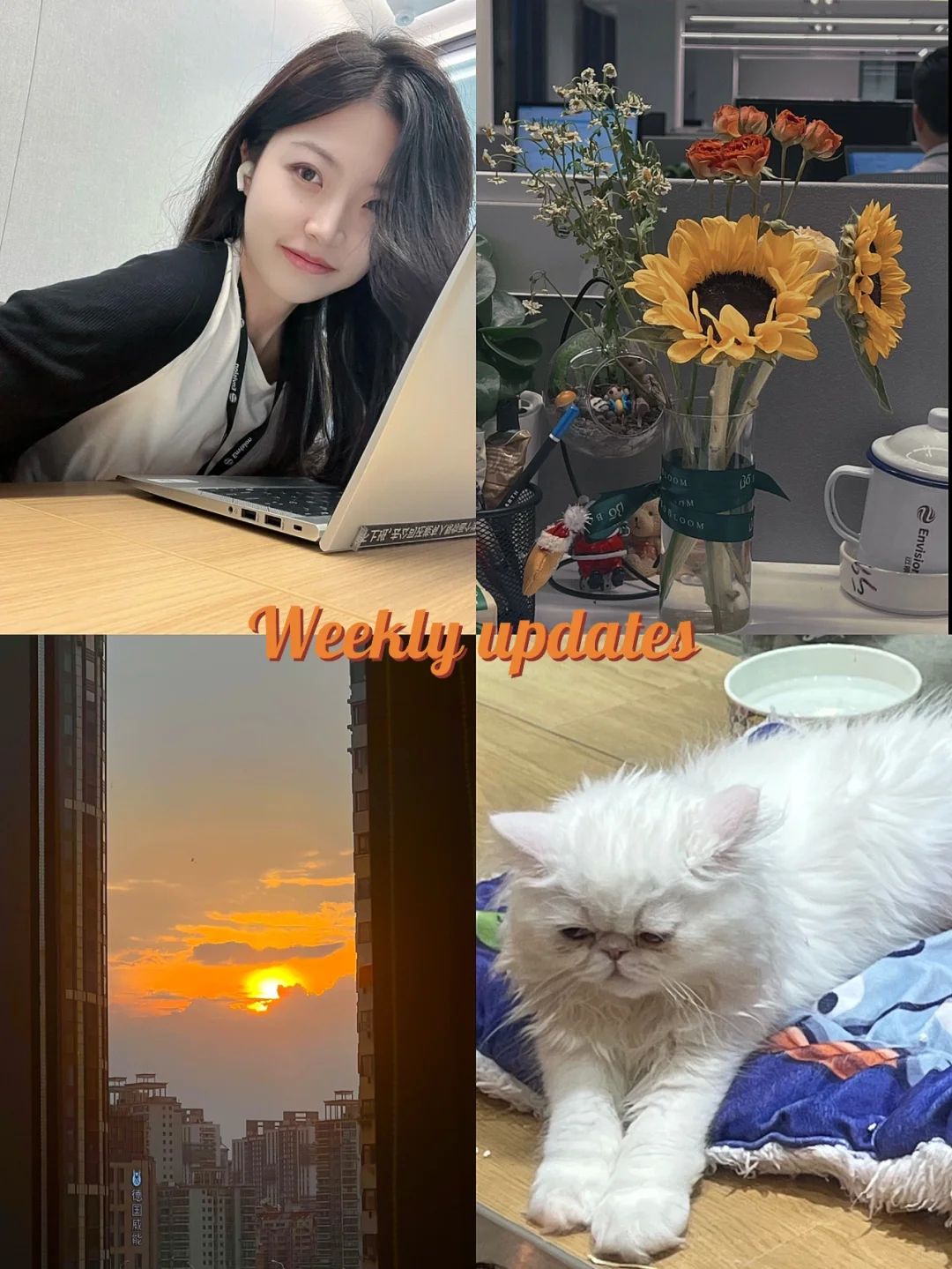 打工日常010 | 新能源行业非技术岗介绍（中）