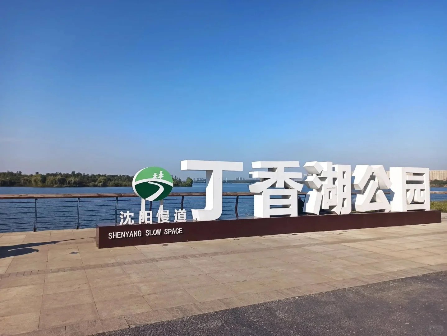 第九弹考沈阳某区区聘教师