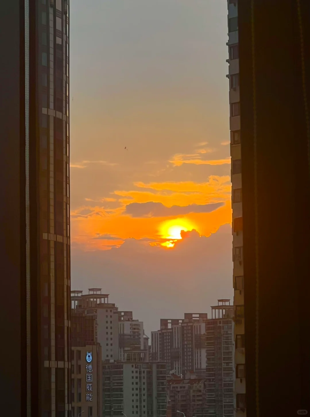 打工日常010 | 新能源行业非技术岗介绍（中）