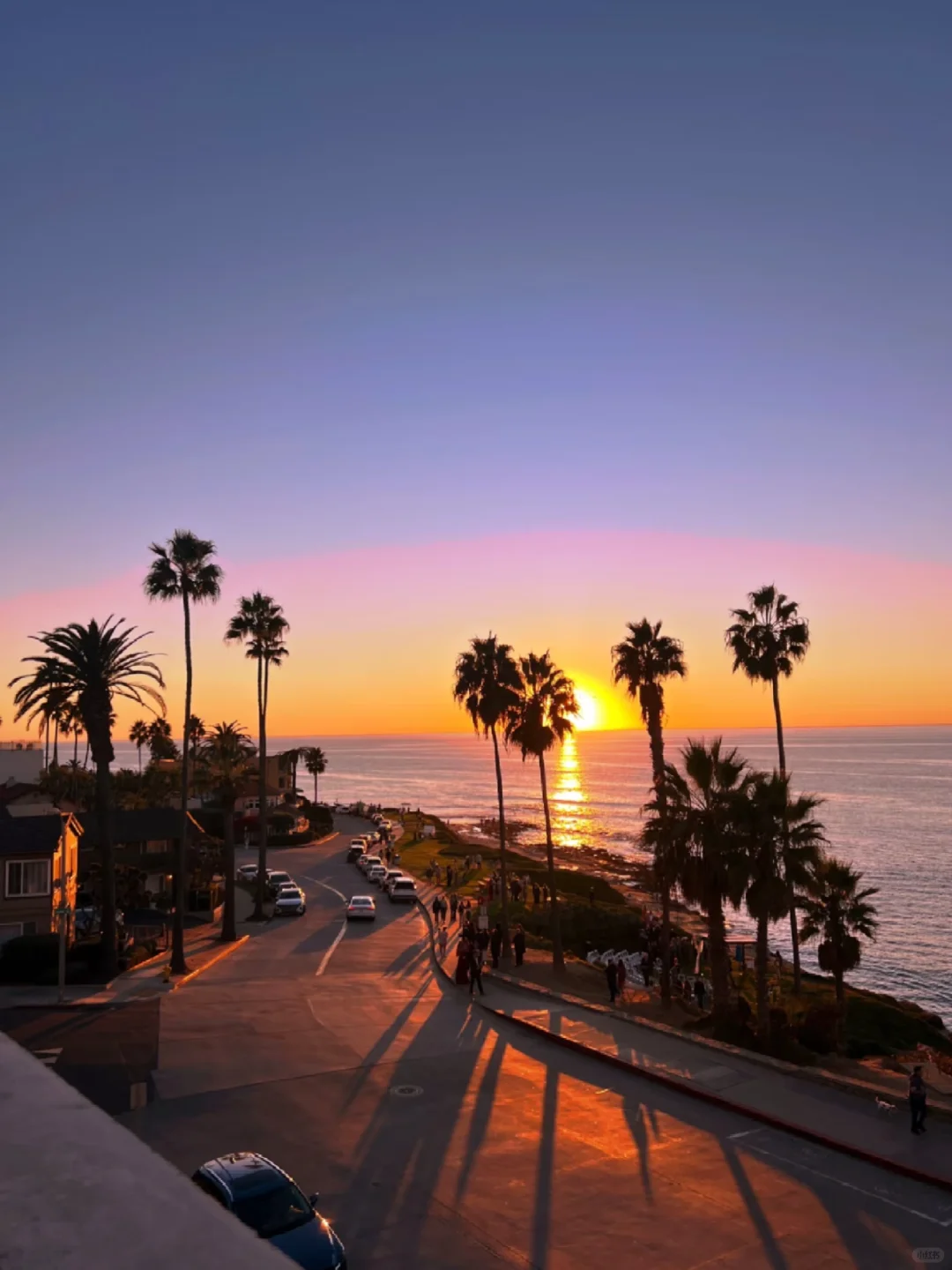 🇺🇸加州医药公司，有人想莱吗？