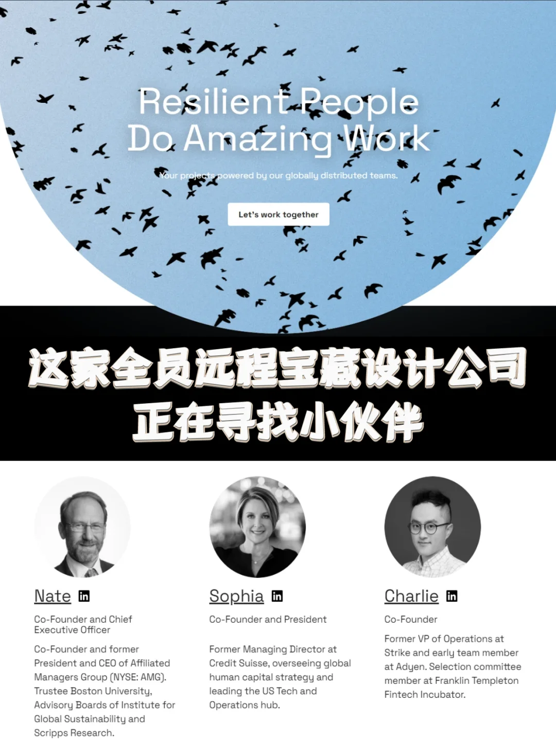 这家小而美设计公司的全球远程岗位正在招人