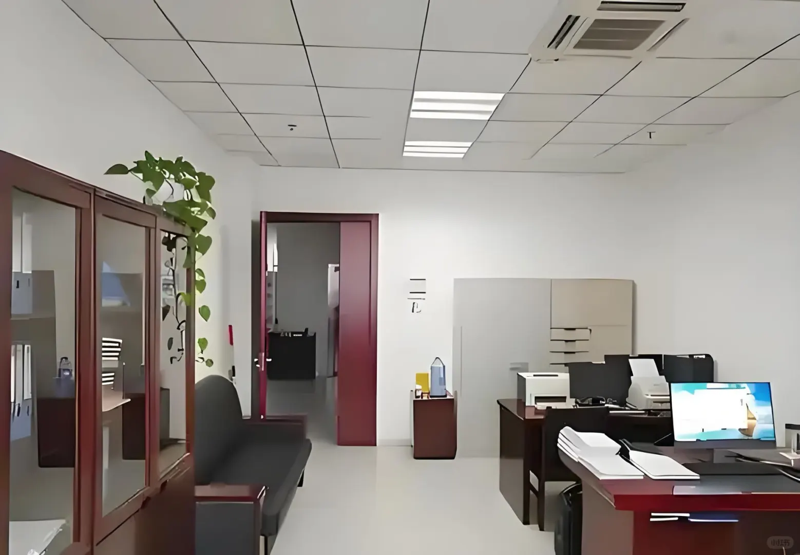 国有企业工作的Vlgo