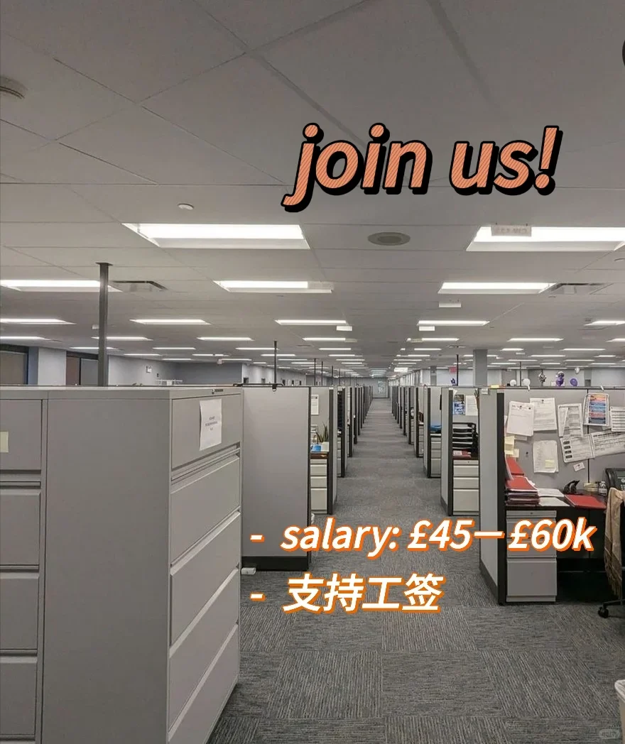 3月有想来医药公司的吗！可sponsor，会中文