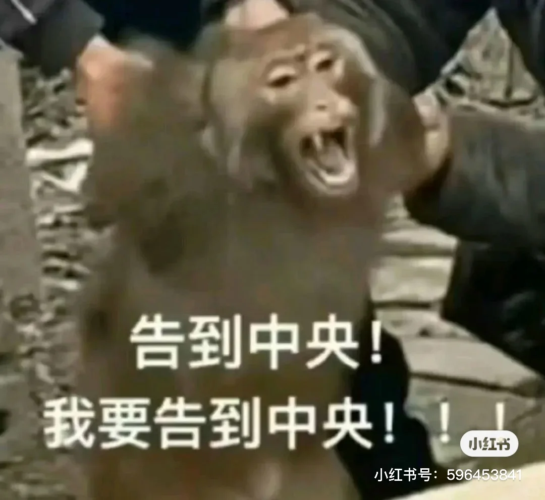 招商局是否该去？