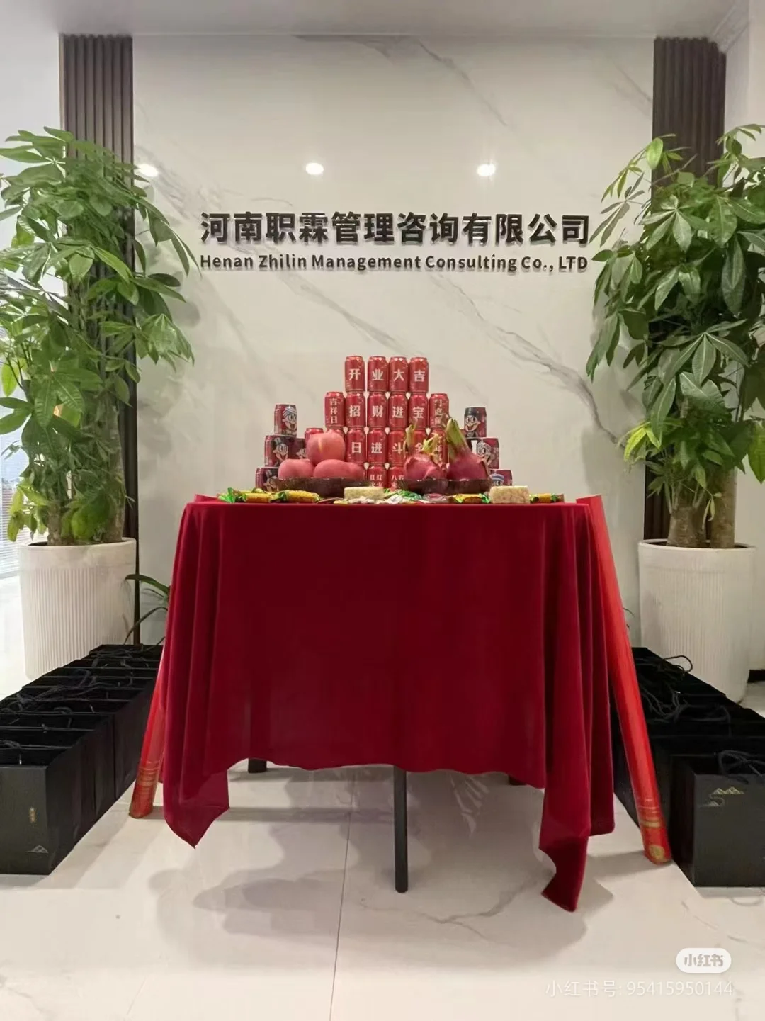 初创公司来招聘喽