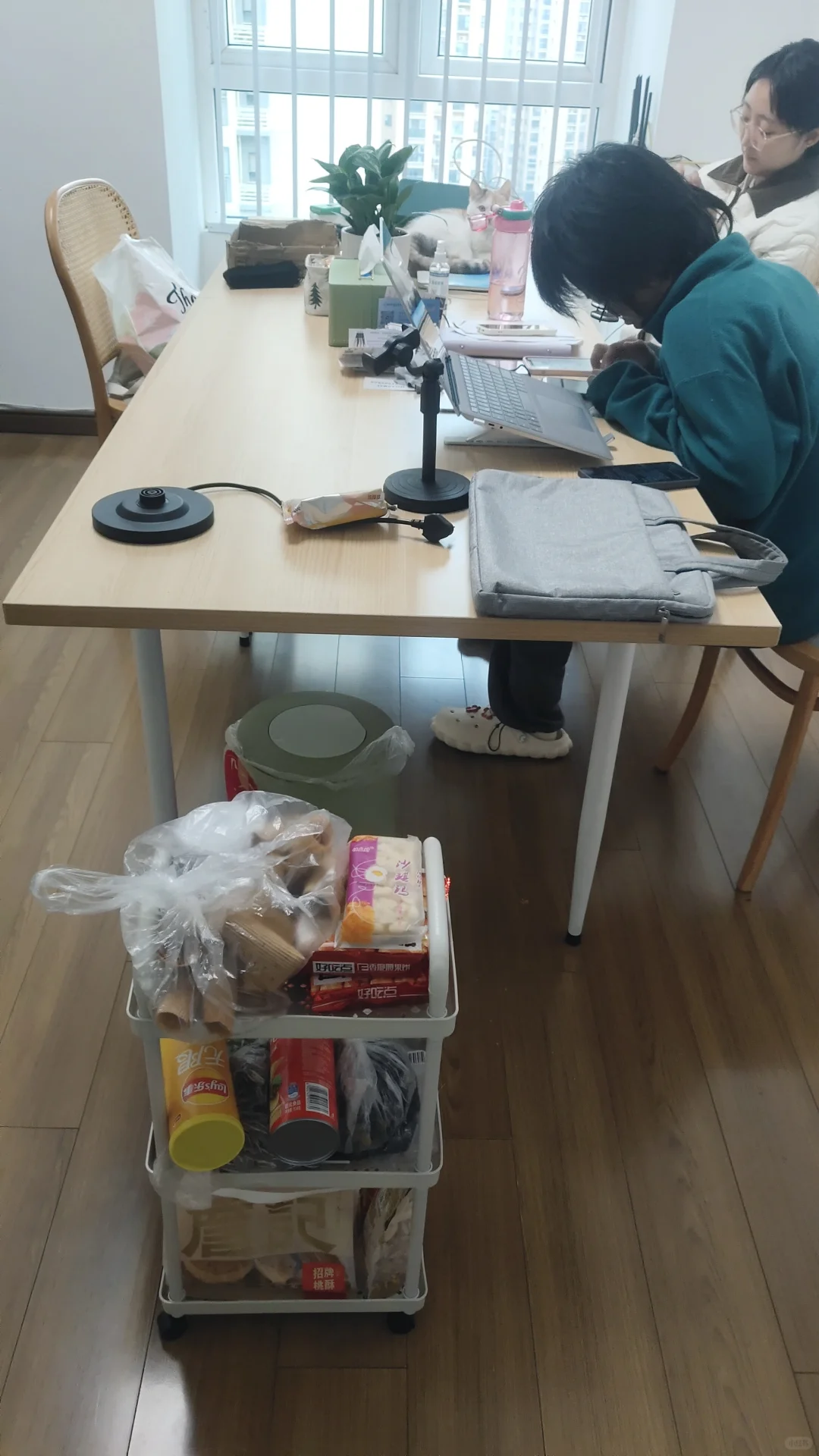 初创业公司来个守家文员！我们新增岗位了